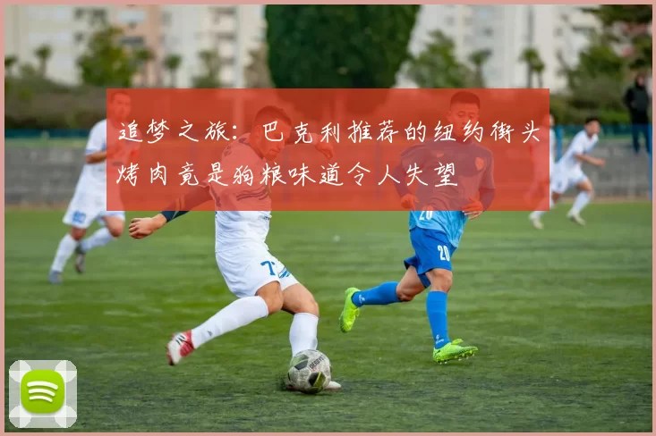 追梦之旅：巴克利推荐的纽约街头烤肉竟是狗粮味道令人失望